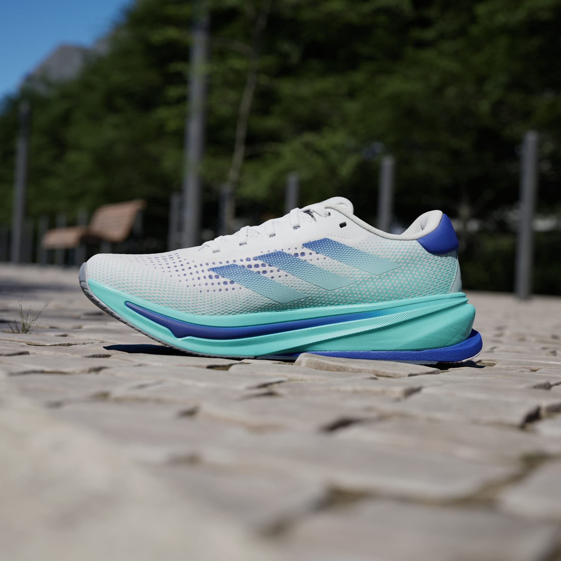 Supernova Rise Running Shoes